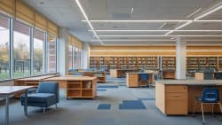 Institutional & Public